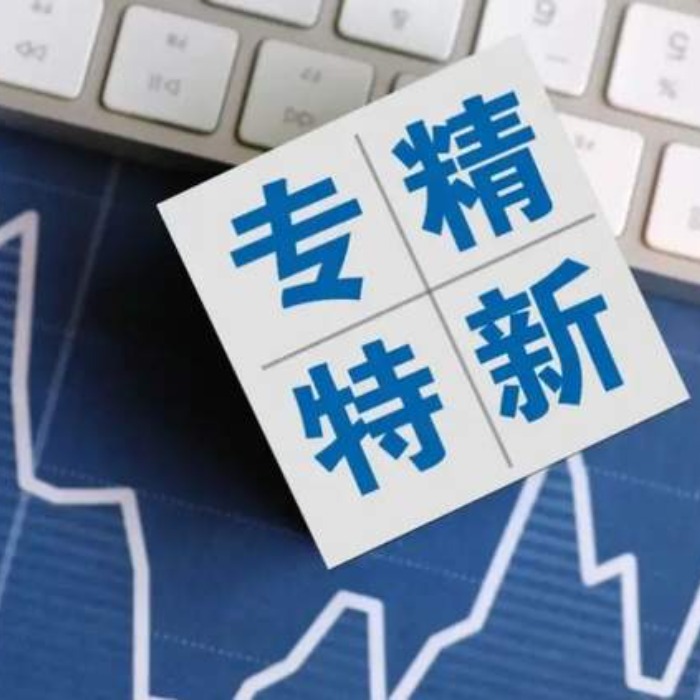德瑪隆過(guò)濾設(shè)備公司獲得專(zhuān)精特新稱(chēng)號(hào)